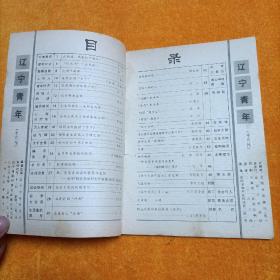 辽宁青年87年11、19期