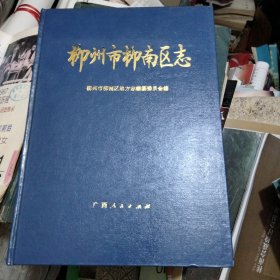 柳南区志