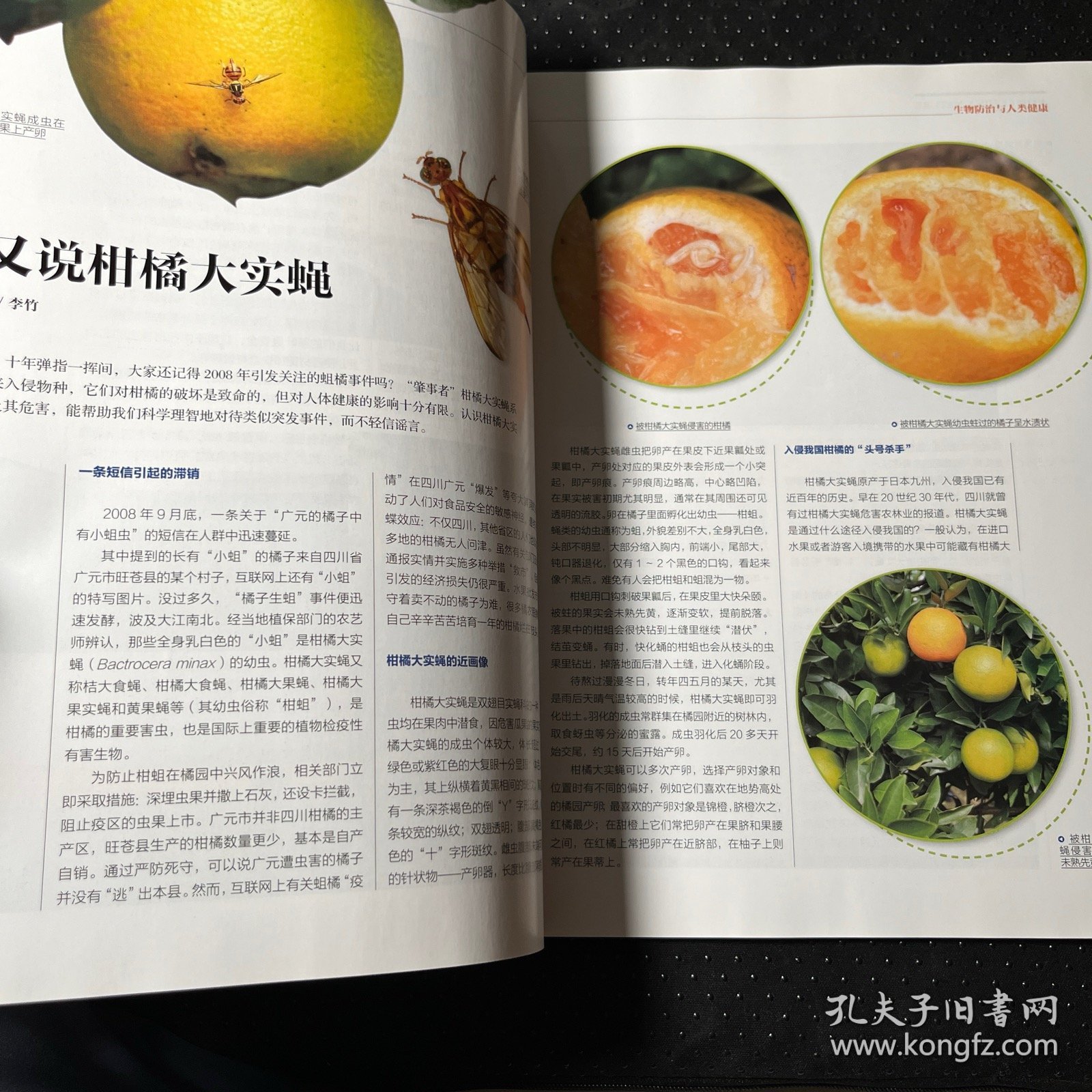 大自然2018年11月刊