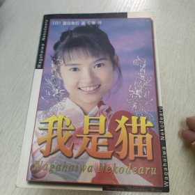 我是猫
