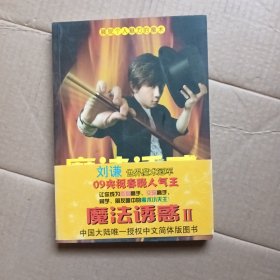 魔法诱惑II