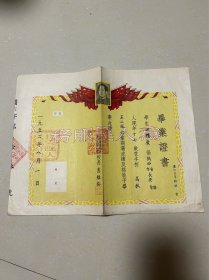 1952年长安县灞桥区第六完全小学田稳广毕业证书