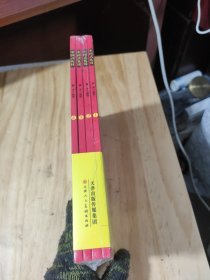 中国式礼仪 这就是一看就懂得礼仪教养书家教学校礼+社会交往礼+婚丧喜庆礼+传统节日礼俗