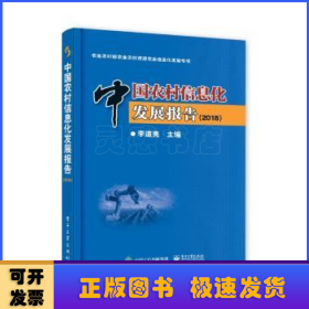 中国农村信息化发展报告(2018) 