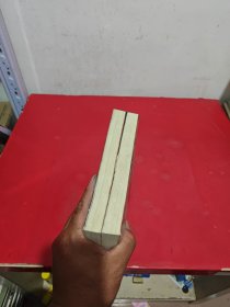 中共历史转折关头:关键会议亲历实录（上下）
