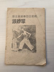 顾汝章嫡传百日速成铁砂掌