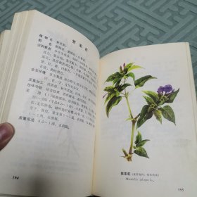 陕甘宁青中草药选（全一册软精装本）