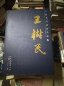 中国当代名家书法集  王树民(盒装)(仅印500册)