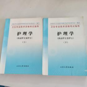 卫生专业技术资格考试指导.护理学.执业护士含护士