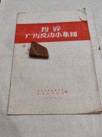 【粉碎“广场”反动小集团】原版 封面石头遮挡处为藏书者签名（ 藏书者为60年代北京大学毕业、广东梅县印尼归侨，中国历史学会理事）（品相见描述）