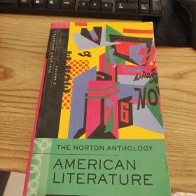 AMERICAN LITERATURE原版英文书