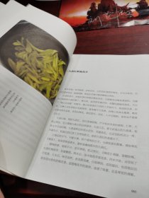 茶味初见