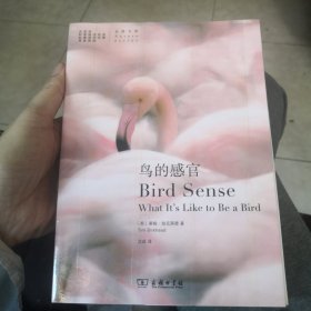 鸟的感官