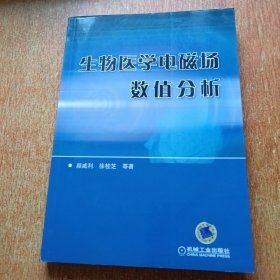 生物医学电磁场数值分析