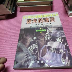 迷失的魂灵--湖北荆沙特大抢劫团伙案侦破纪实