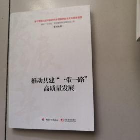 推动共建“一带一路”高质量发展
