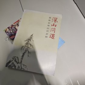 深山问道：萧海春山水经典解读