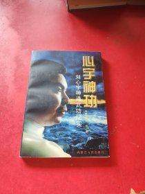 心宇神功:刘心宇神通武功纪实