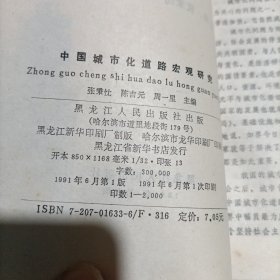 中国城市化道路宏观研究——中美双方合作成果论文汇编