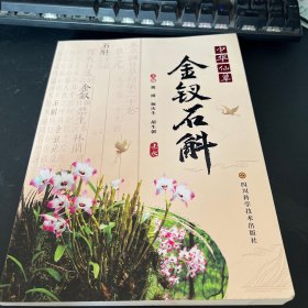 中华仙草 金钗石斛