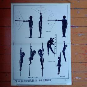 中、小学生70~80年代《身体素质训练挂图——手臂力量练习:五
      持棍绕环
      背对助木悬垂
      爬垂直绳、竿练习
      悬臂绕体。
        
       挂图结构尺寸:长72,6✘宽52,6厘米。