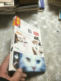 猫：爱猫养护实用手册