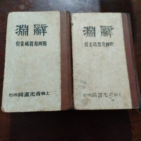 辞渊（两册全）