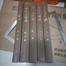 中文大词典共五册合售