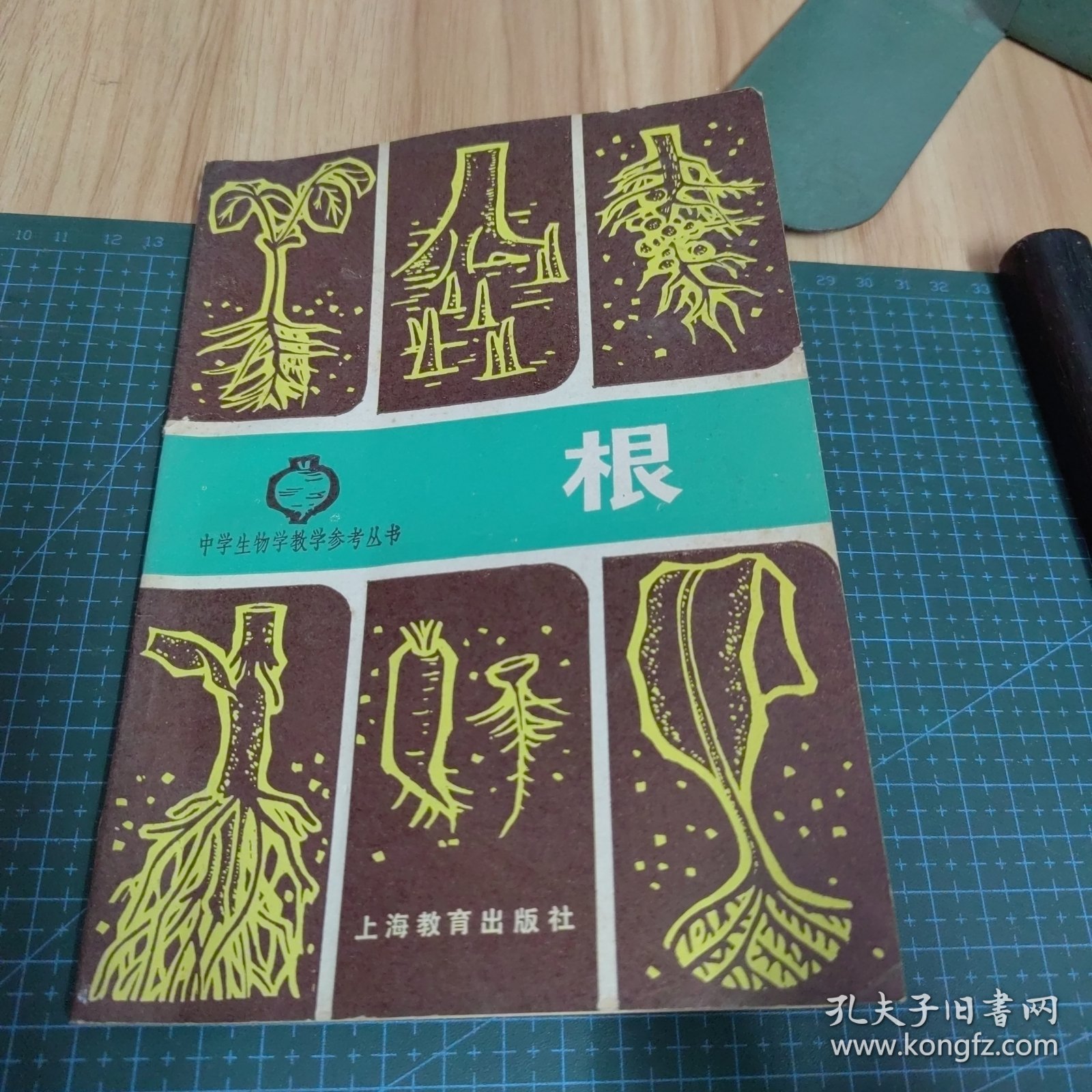 中学生物学教学参考丛书：根