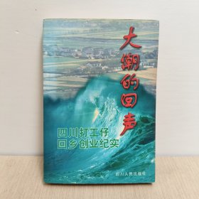 大潮的回声:四川打工仔回乡创业纪实