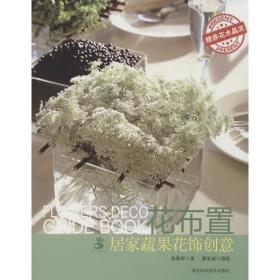 花布置:居家蔬果花饰创意 生活休闲 杨婷雅