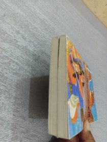 一代宗师未了情 上下（神雕侠侣续集）