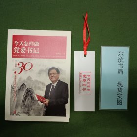 今天怎样做党委书记：一个任职30年国企党委书记的自述与思考