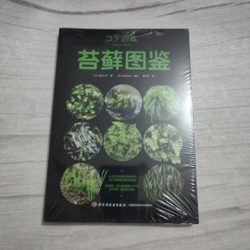 苔藓图鉴