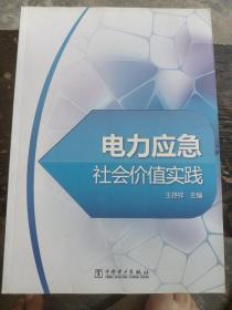 电力应急社会价值实践