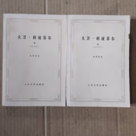 大卫·科波菲尔上下