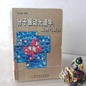 分子振动光谱学 原理与研究