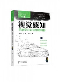 人工智能超入门丛书--视觉感知：深度学习如何知图辨物 ChatGPT聊天机器人入门