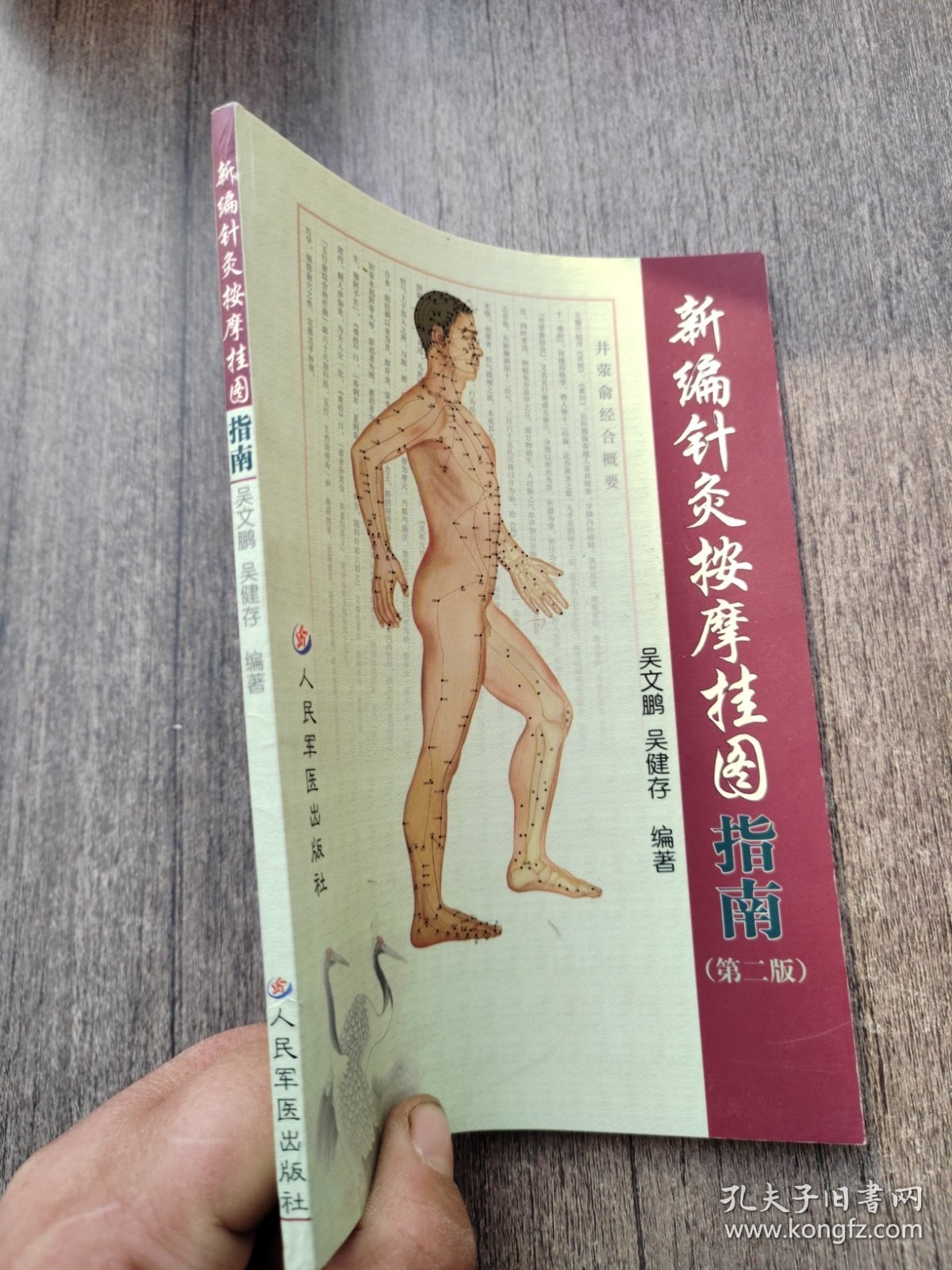 新编针灸按摩挂图（第二版）
