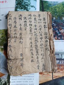 中医手抄本 治马方 70多面