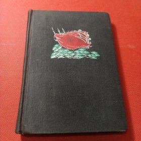 红旗日记本，记录内容为医学方面，整本写满
