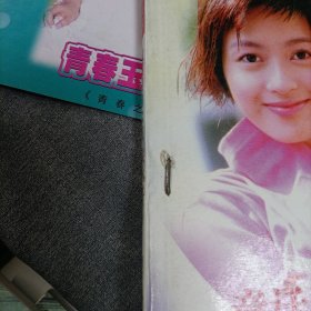 拒绝再玩《张国荣魂断香江》、童话里的公主《梁咏琪》、青春之星《港剧红星日历手册，2册》、叛逆小子——谢霆锋
