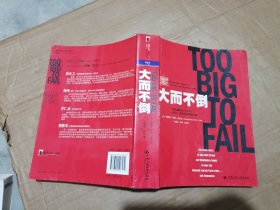 大而不倒：2010年全球政要和首席执行官争相阅读的金融危机启示录