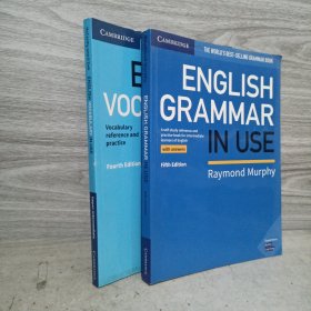 剑桥英语语法书 英文原版English Grammar in Use+English Vocabulary in Use 2册合售