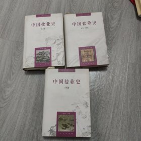 中国盐业史 全三册 古代编 地方编 近代当代编