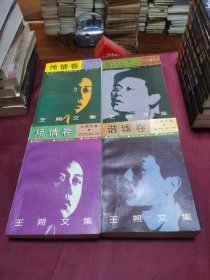 王朔文集1-4册合售