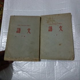 中国人民解放军中学课本 语文(上下)