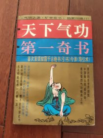 天下气功第一奇书（A区）