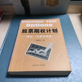 股票期权计划理论、方案与实务