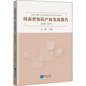 河南省知识产权发展报告(2016-2017)